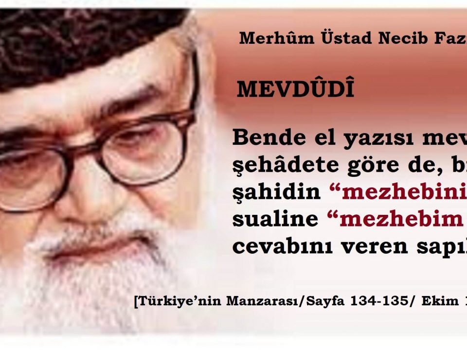 mezhebsiz mevdûdî