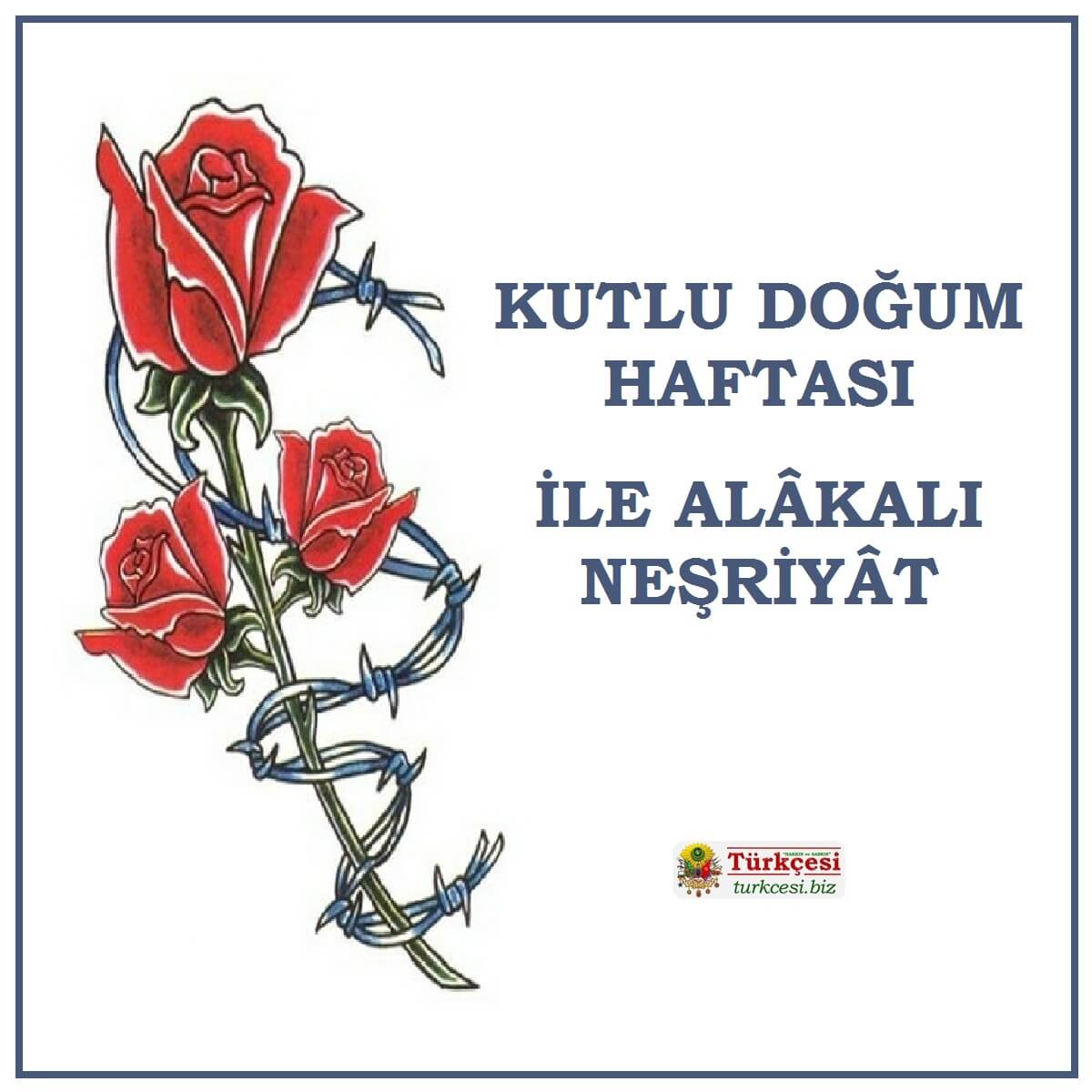 kutlu-dogum-nesriyat