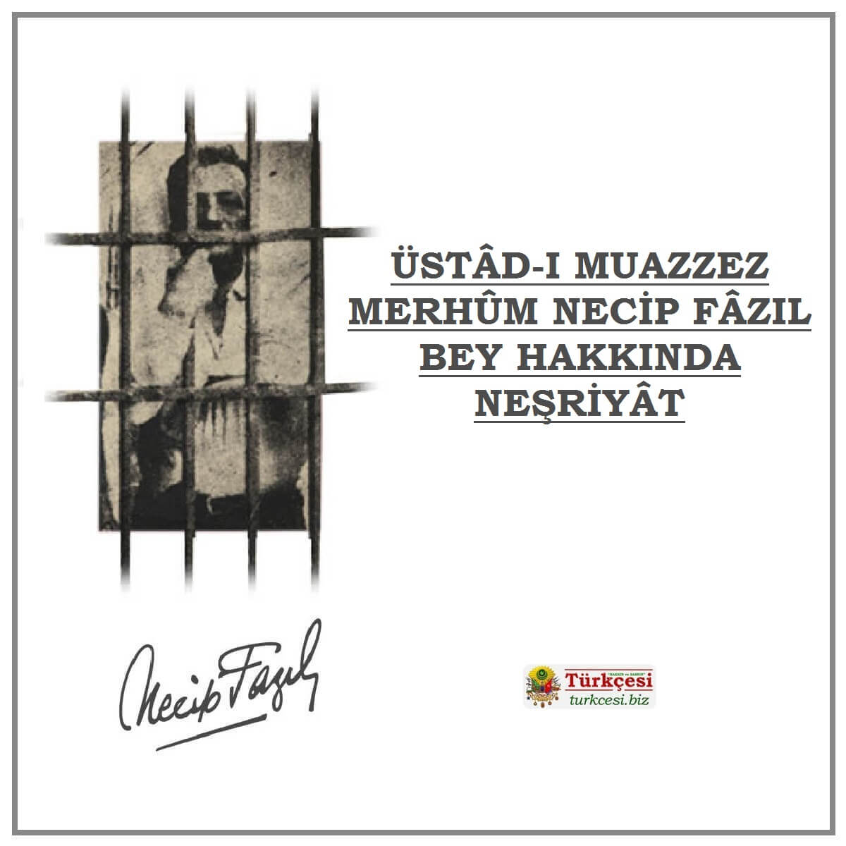 ustad-nfk-hakkinda